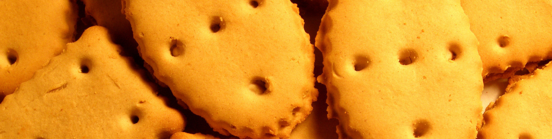 Informativa sull'utilizzo dei cookie